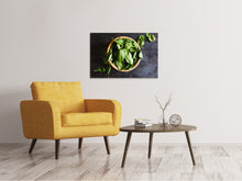 Load image into Gallery viewer, Canvas print Leaves of basil
