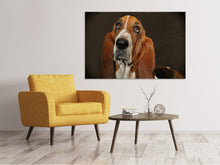Load image into Gallery viewer, Canvas print Typical basset
