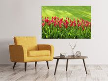 Load image into Gallery viewer, Canvas print Red tulip field in the sunlight
