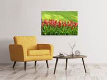 Load image into Gallery viewer, Canvas print Red tulip field in the sunlight

