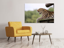 Load image into Gallery viewer, Canvas print Tired Leopard
