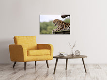 Load image into Gallery viewer, Canvas print Tired Leopard
