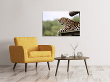 Load image into Gallery viewer, Canvas print Tired Leopard
