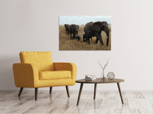 Load image into Gallery viewer, Canvas print Elephant family
