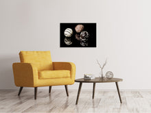 Load image into Gallery viewer, Canvas print Truffle chocolates
