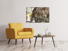 Load image into Gallery viewer, Canvas print Attention cat!
