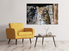 Load image into Gallery viewer, Canvas print Leopard in wait
