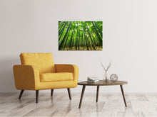 Load image into Gallery viewer, Canvas print The bamboo forest
