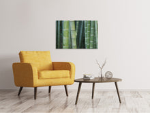 Load image into Gallery viewer, Canvas print Bamboo in XXL
