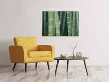 Load image into Gallery viewer, Canvas print Bamboo in XXL
