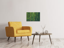 Load image into Gallery viewer, Canvas print In the middle of the bamboo
