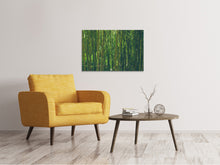 Load image into Gallery viewer, Canvas print In the middle of the bamboo
