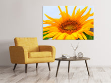 Load image into Gallery viewer, Canvas print Big sunflower
