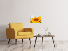 Load image into Gallery viewer, Canvas print Big sunflower
