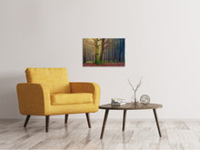 Load image into Gallery viewer, Canvas print Alone in the woods
