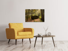 Load image into Gallery viewer, Canvas print The rock in the forest
