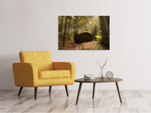 Load image into Gallery viewer, Canvas print The rock in the forest
