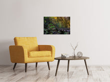 Load image into Gallery viewer, Canvas print The forest bridge
