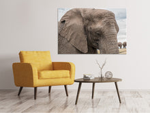 Load image into Gallery viewer, Canvas print XL elephant
