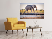 Load image into Gallery viewer, Canvas print Elephant in the nature
