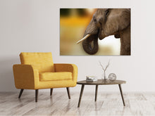 Load image into Gallery viewer, Canvas print Elephant Close up
