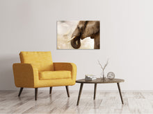 Load image into Gallery viewer, Canvas print Portrait of an elephant
