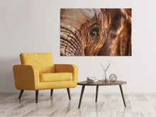 Load image into Gallery viewer, Canvas print The look of the elephant
