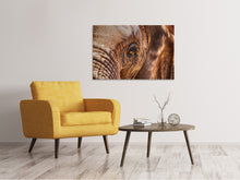 Load image into Gallery viewer, Canvas print The look of the elephant
