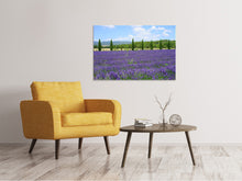 Load image into Gallery viewer, Canvas print Magnificent lavender field

