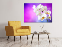 Load image into Gallery viewer, Canvas print Flower Power Orchid

