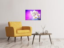 Load image into Gallery viewer, Canvas print Flower Power Orchid
