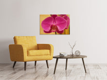 Load image into Gallery viewer, Canvas print Close up orchid in pink
