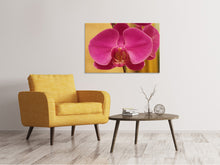 Load image into Gallery viewer, Canvas print Close up orchid in pink
