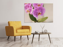Load image into Gallery viewer, Canvas print Orchids with purple flowers in XL
