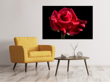 Load image into Gallery viewer, Canvas print The flower of love
