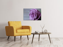 Load image into Gallery viewer, Canvas print Rose in purple XXL
