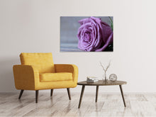Load image into Gallery viewer, Canvas print Rose in purple XXL

