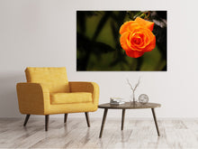 Load image into Gallery viewer, Canvas print The blossom of the rose
