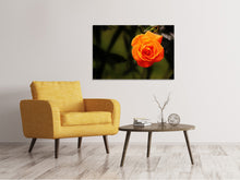 Load image into Gallery viewer, Canvas print The blossom of the rose
