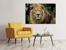 Load image into Gallery viewer, Canvas print King of wildlife
