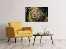 Load image into Gallery viewer, Canvas print King of wildlife
