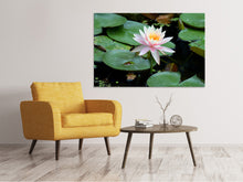 Load image into Gallery viewer, Canvas print The proud water lily
