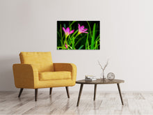 Load image into Gallery viewer, Canvas print Flowers in nature
