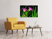 Load image into Gallery viewer, Canvas print Flowers in nature
