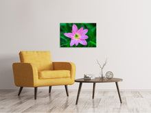 Load image into Gallery viewer, Canvas print Close up of pink blossom
