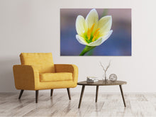 Load image into Gallery viewer, Canvas print Close up yellow blossom
