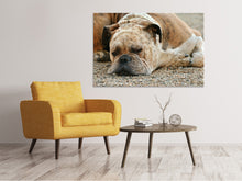 Load image into Gallery viewer, Canvas print Tired boxer
