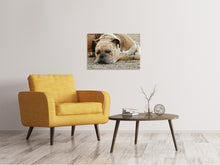 Load image into Gallery viewer, Canvas print Tired boxer
