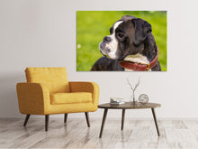 Load image into Gallery viewer, Canvas print Attentive boxer
