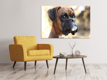 Load image into Gallery viewer, Canvas print The boxer look

